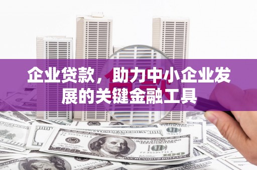 桐乡企业贷款，助力中小企业发展的关键金融工具