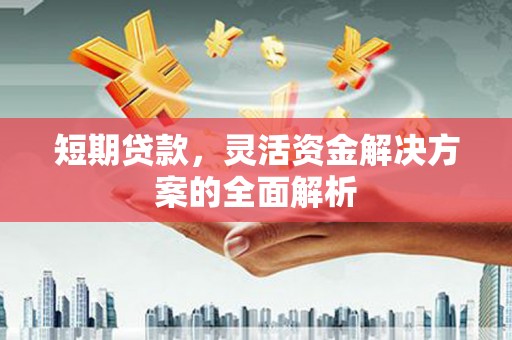 永安短期贷款，灵活资金解决方案的全面解析
