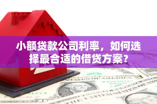 阿巴嘎旗小额贷款公司利率，如何选择最合适的借贷方案？