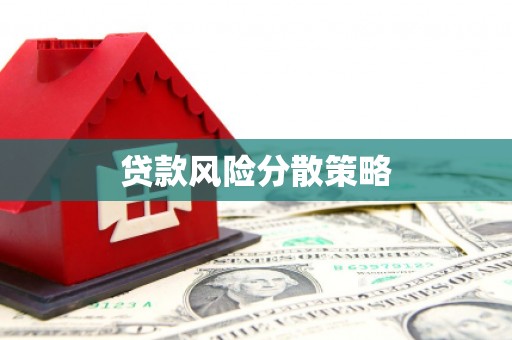 武冈贷款风险分散策略