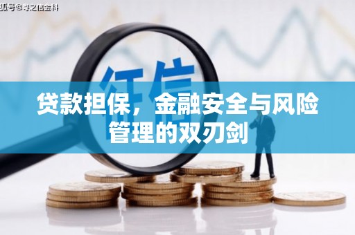柯坪贷款担保，金融安全与风险管理的双刃剑