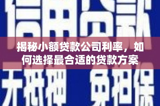 永寿揭秘小额贷款公司利率，如何选择最合适的贷款方案