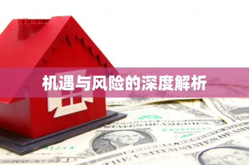 大洼机遇与风险的深度解析