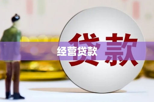 刚察经营贷款