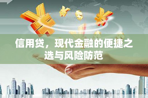 惠山信用贷，现代金融的便捷之选与风险防范