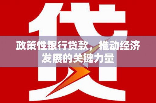 永胜政策性银行贷款，推动经济发展的关键力量