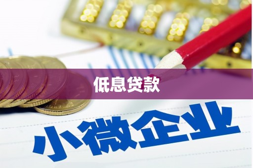 尼勒克低息贷款