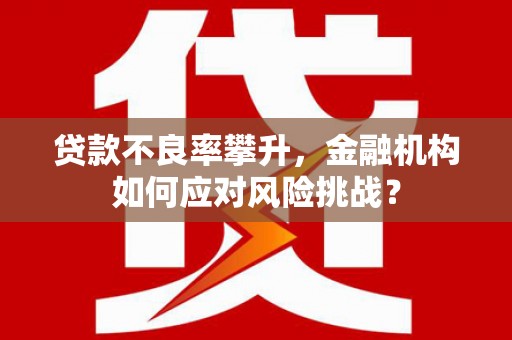 漳县贷款不良率攀升，金融机构如何应对风险挑战？
