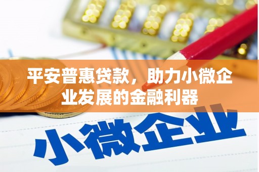 麻豆平安普惠贷款，助力小微企业发展的金融利器
