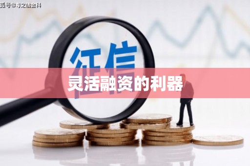 定远灵活融资的利器