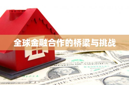 永济全球金融合作的桥梁与挑战