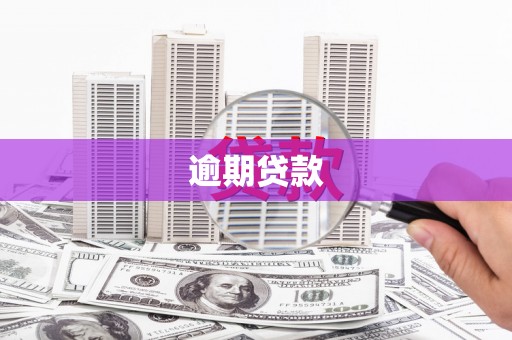 绿岛逾期贷款