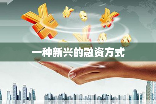 大堂一种新兴的融资方式