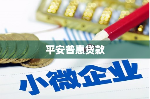 喜德平安普惠贷款