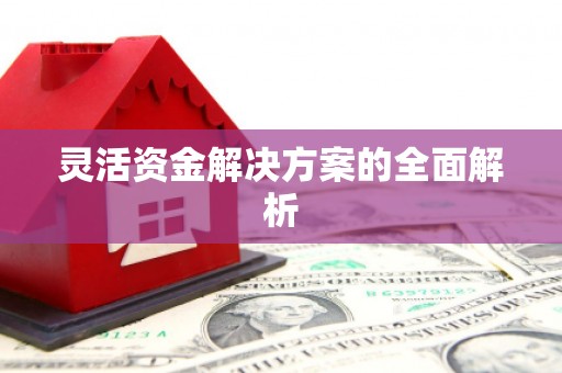 洛扎灵活资金解决方案的全面解析
